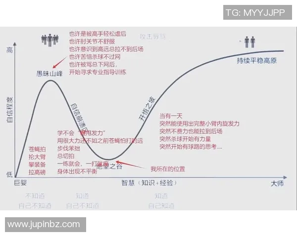 从零基础到高手之路羽毛球技术全方位提升指南